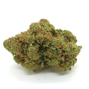 Iguana smoke amnesia