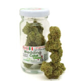 Iguana smoke wedding cake