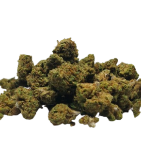 Gelato CBD - Small Bud