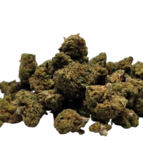 Gelato CBD - Small Bud