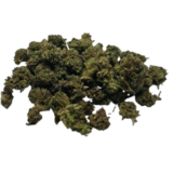 White Widow CBD - Small Bud