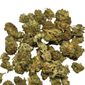 Tutti i Frutti CBD
