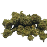 Gorilla Glue CBD - Small Bud