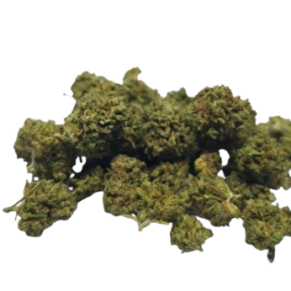 Gorilla Glue CBD - Small Bud