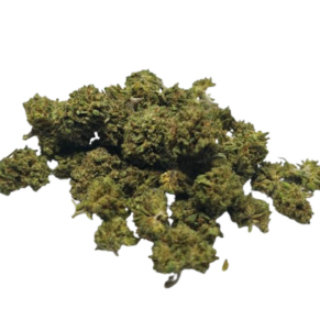 Gorilla Glue CBD - Small Bud
