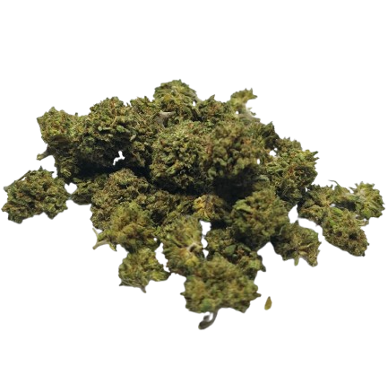 Gorilla Glue CBD - Small Bud