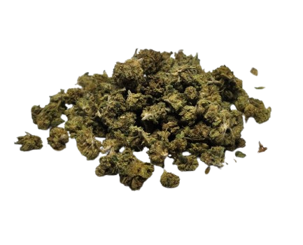 small buds