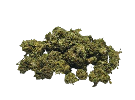 Mango Haze CBD