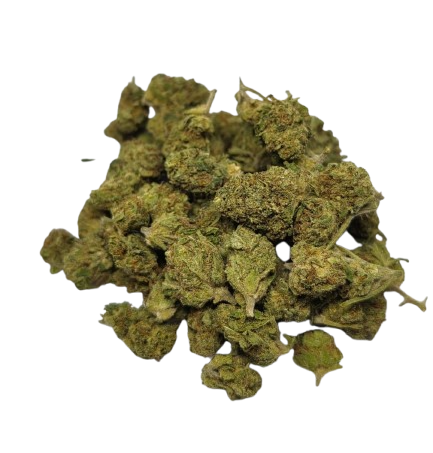 Gasoline CBD - Small Bud