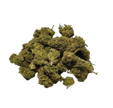 Gasoline CBD - Small Bud