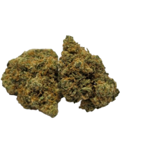 amnesia-cbd